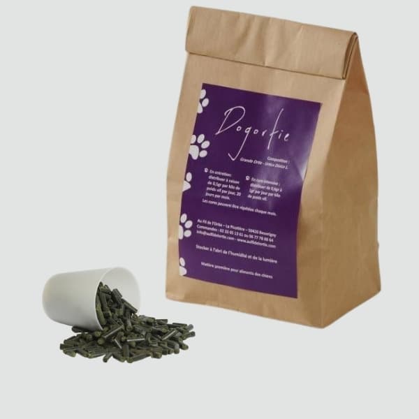 DogOrtie, complément naturel pour chiens à base d’ortie